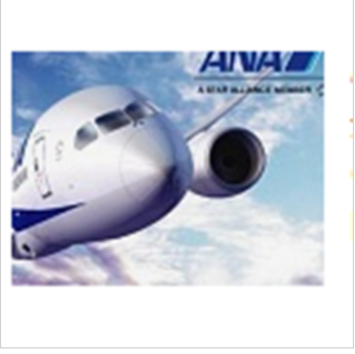 Введение ANA All Nippon Airways